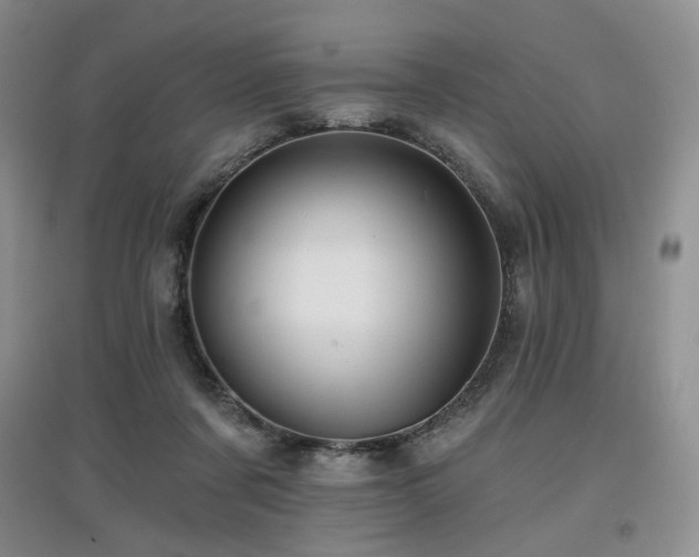 X0000097910311200803141424