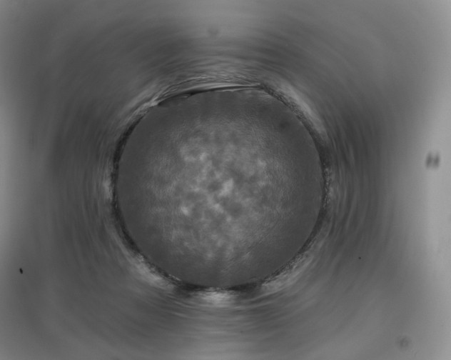 X0000097910313200803141424