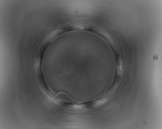 X0000097910314200803141424