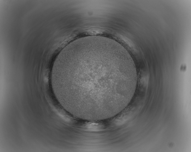 X0000097910315200803141424