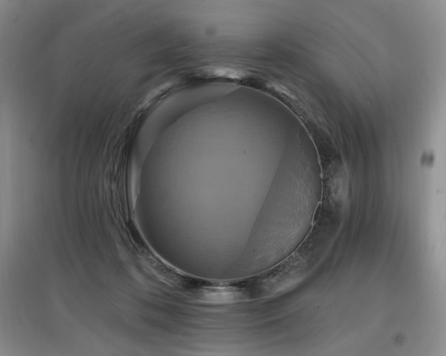 X0000097910316200803141424