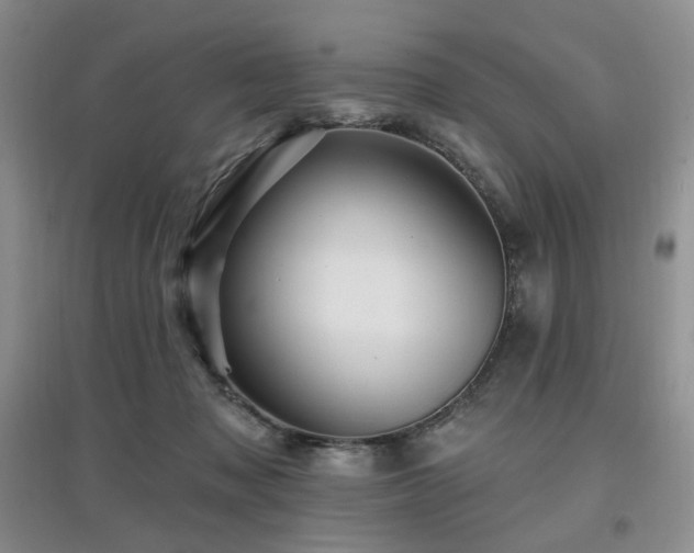 X0000097910317200803141424