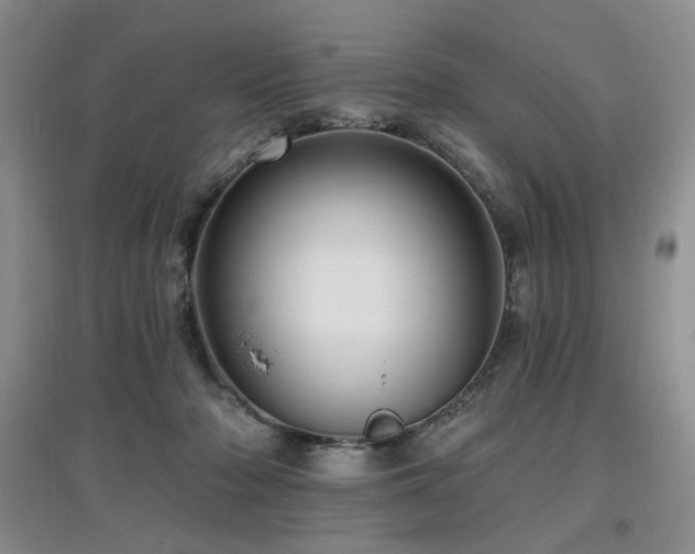 X0000097910318200803141424