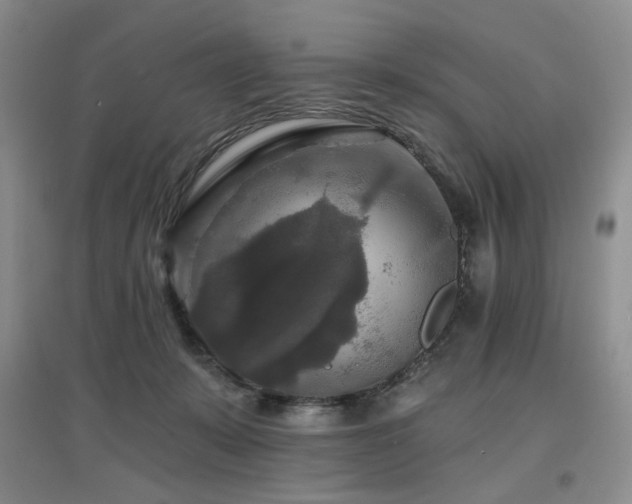 X0000097910319200803141424