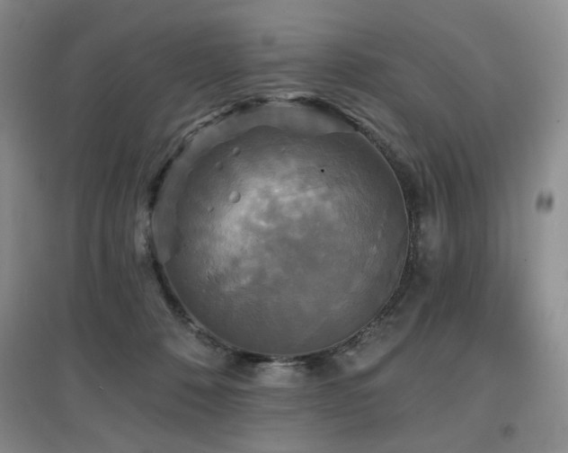 X0000097910320200803141424