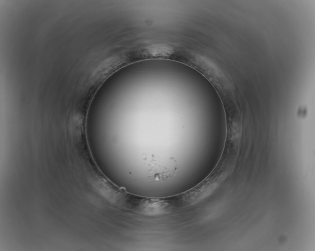 X0000097910321200803141424