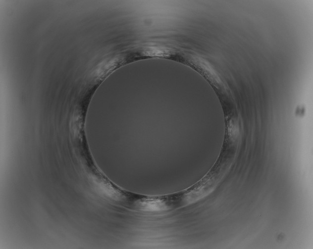 X0000097910322200803141424