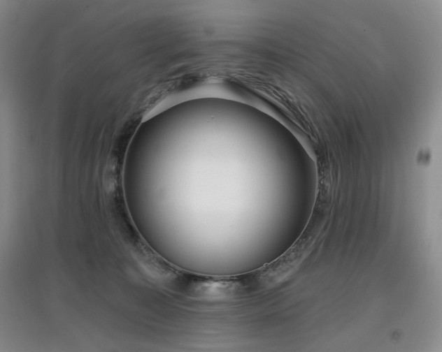 X0000097910323200803141424