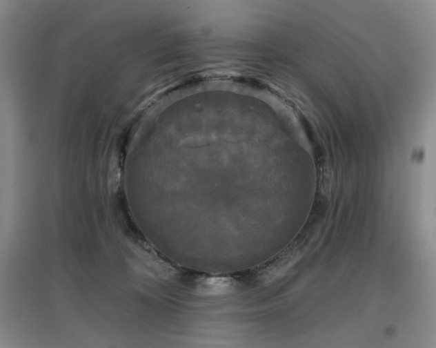 X0000097910324200803141424