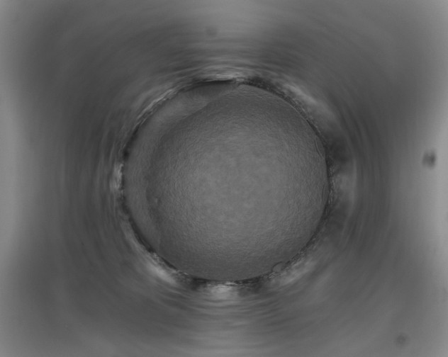 X0000097910325200803141424