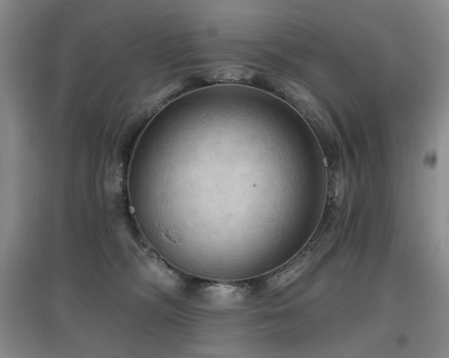 X0000097910326200803141424