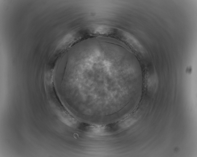 X0000097910328200803141424