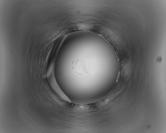 X0000097910329200803141424