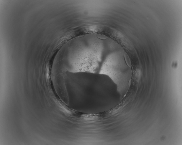 X0000097910331200803141424