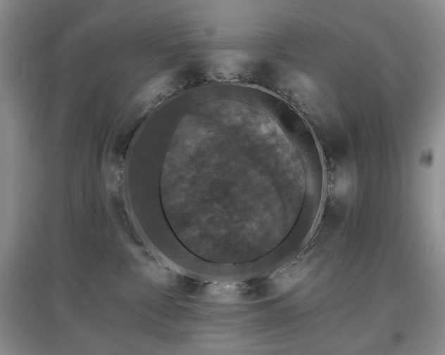 X0000097910332200803141424