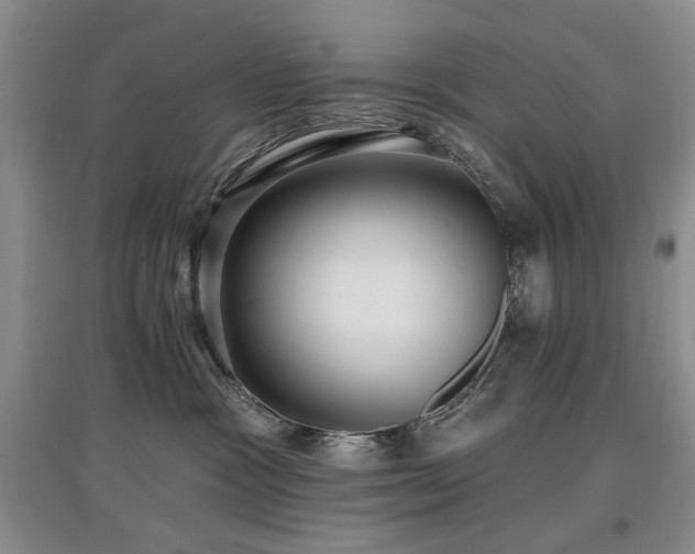 X0000097910333200803141424