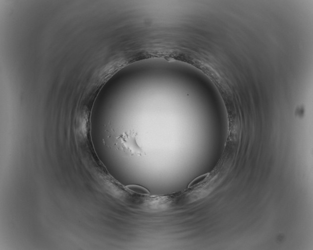 X0000097910334200803141424