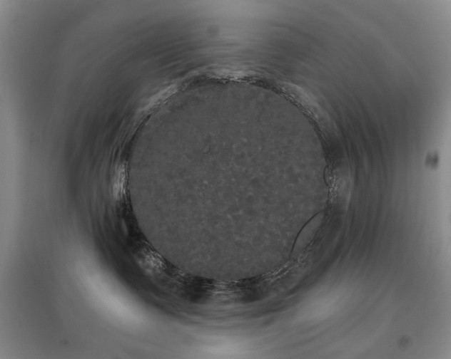 X0000097910335200803141424