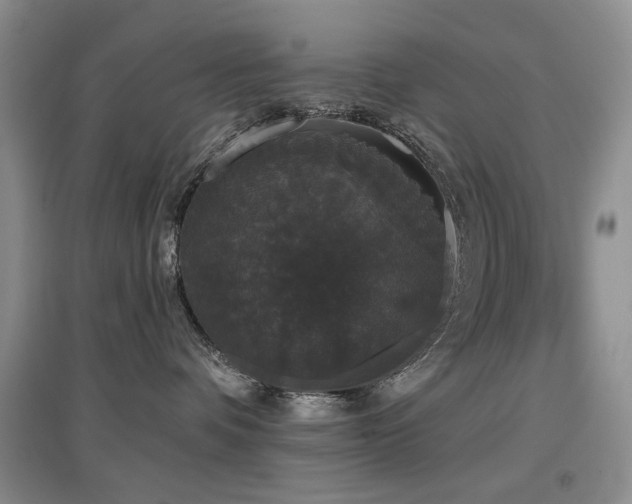 X0000097910336200803141424