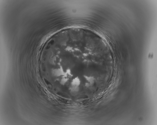 X0000097910337200803141423