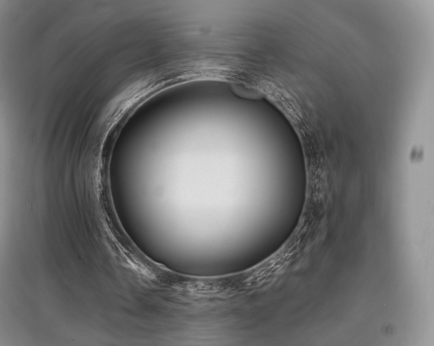 X0000097910338200803141423