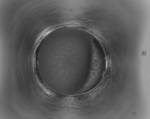 X0000097910339200803141423