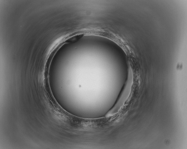 X0000097910340200803141423