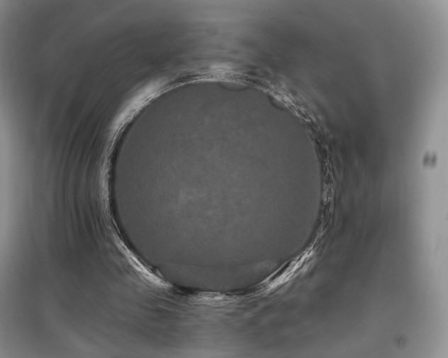 X0000097910341200803141423