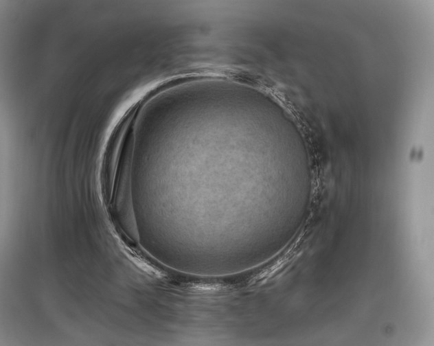 X0000097910342200803141423