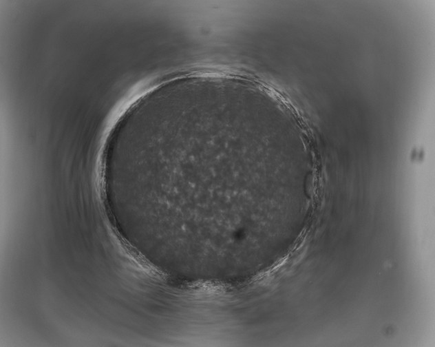 X0000097910343200803141423