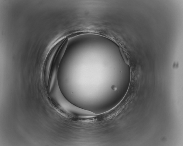 X0000097910344200803141423