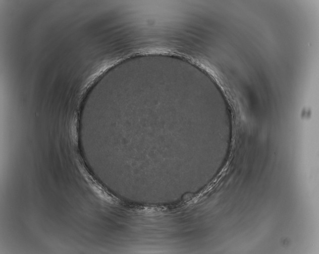 X0000097910345200803141423