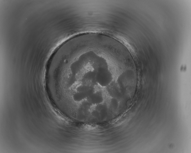 X0000097910346200803141423