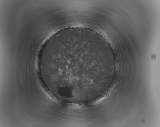 X0000097910347200803141423