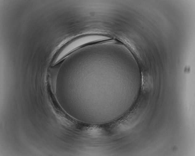 X0000097910348200803141423