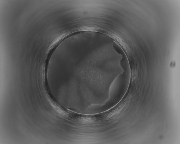 X0000097910349200803141423