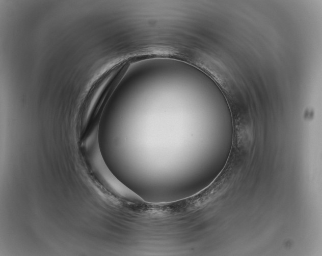 X0000097910350200803141423