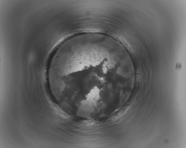 X0000097910351200803141423