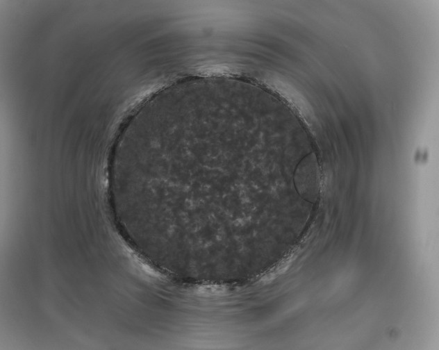 X0000097910353200803141423