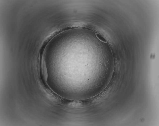 X0000097910354200803141423