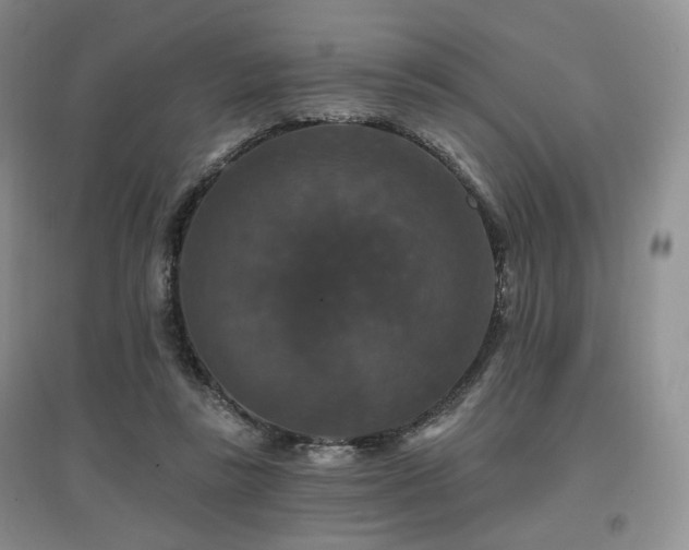 X0000097910355200803141423