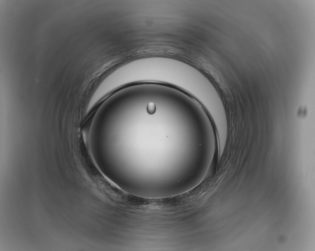 X0000097910356200803141423