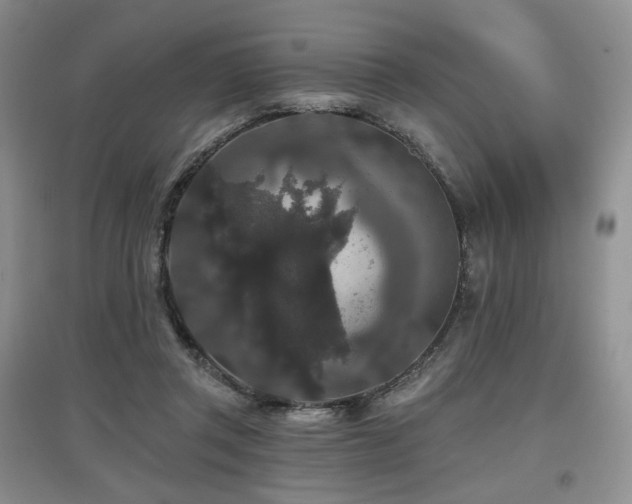 X0000097910357200803141423