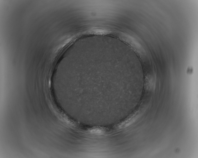 X0000097910358200803141423