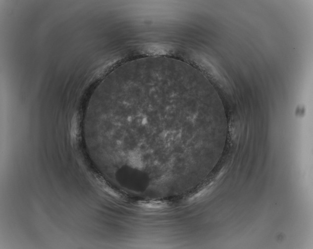 X0000097910359200803141424