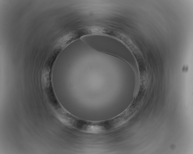 X0000097910360200803141424