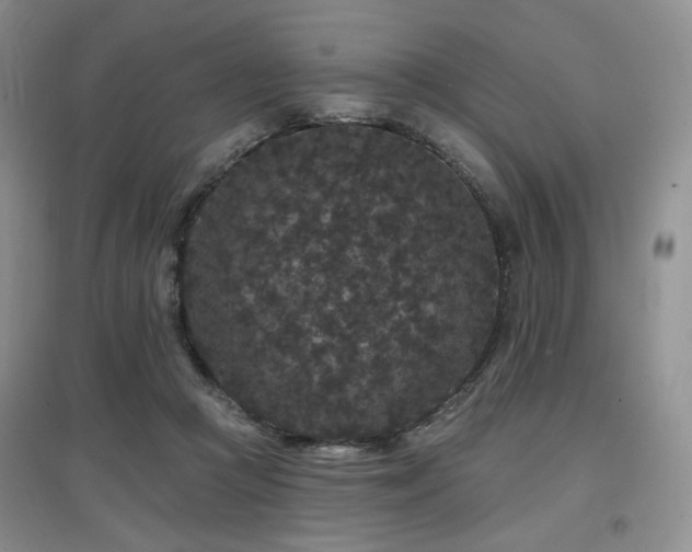 X0000097910361200803141424