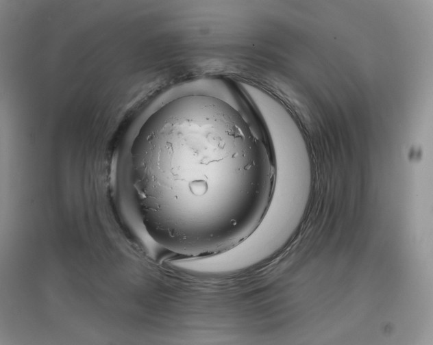 X0000097910362200803141424