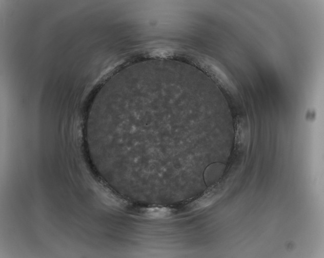 X0000097910363200803141424