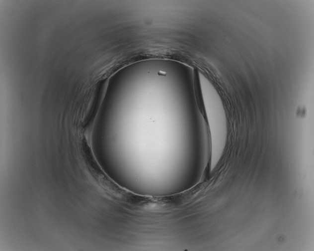 X0000097910364200803141424